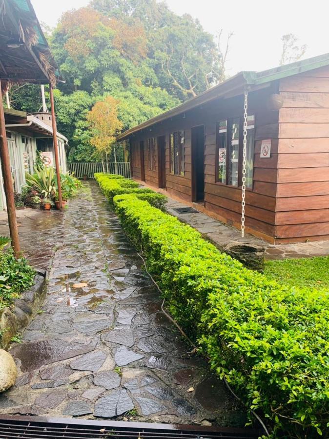 Hotel Quetzal Inn Monteverde Eksteriør billede